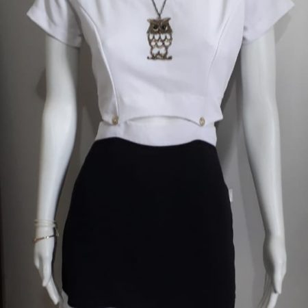 Vestido Azul e Branco